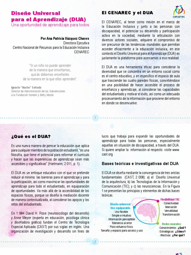 DUA: Inclusión y Aprendizaje Universal | PDF | Aprendizaje | Plan de ...