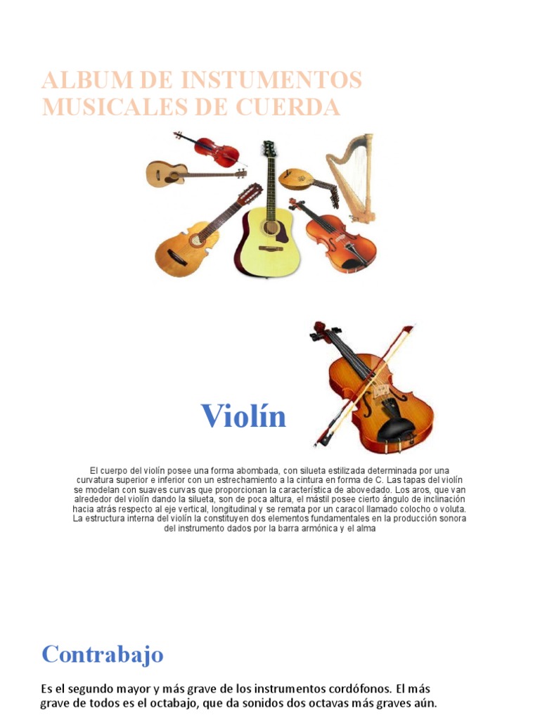 Album de Instumentos Musicales de | PDF | Guitarras | Contrabajo