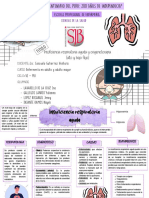 Mapa Insuficiencia Respiratoria Grupo Lic Consuelo