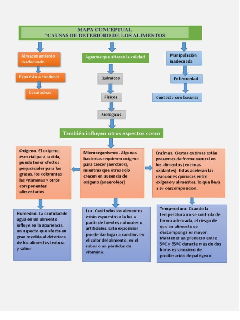 Mapa Conceptual Deterioro de Los Alimentos Final | PDF