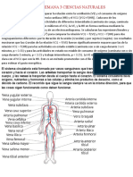Guia 2 Semana 3 Ciencias Naturales