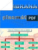 MEMBRANA PLASMATICA (1)