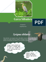 Syrigma sibilatrix - Diego Mejia
