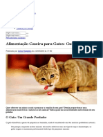 Alimentação Caseira para Gatos - Guia Básico