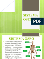 Diapositivas SISTEMA OSEO