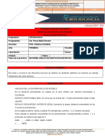 Informe Denticion Definitiva