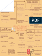 Alterações Fisiológicas Durante Período Gestacional