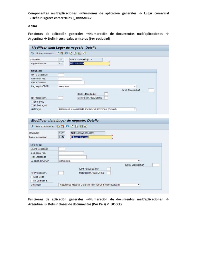 Configurando Sociedad 1001 SAP | PDF | Contabilidad | Informática