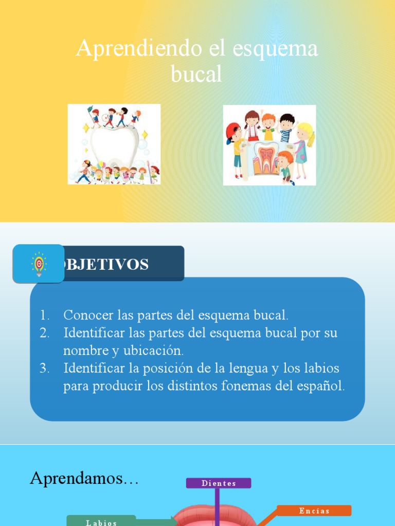 Aprendiendo El Esquema Bucal Punto Articulatorio Pdf Boca Sonido