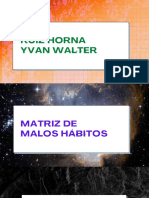 Matriz de Malos Hábitos - Ruiz Horna Yvan Walter