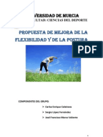 Trabajo 4_Flexibilidad