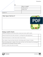 Test Yourself 3: Minerals in Photosynthesis