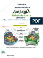 Clase 10 Citoplasma-Sist Endomem 2021-Isma