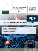 3_4 unidad de Bases_ BiolÃ³gicas