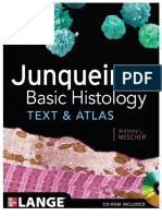 PDF Junqueira S Basic Histology Text and Atlas 14th Edition B Indo DD