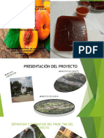 Sustentacion Trabajo Final Producc Agro