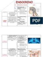 El Hipotálamo Produce Diferentes Enfermedades Del Hipotálamo y La Glándula Hipófisis