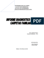 Informe Diagnostico de Las Carpetas Familiares