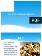 Biji Dan Perkecambahan