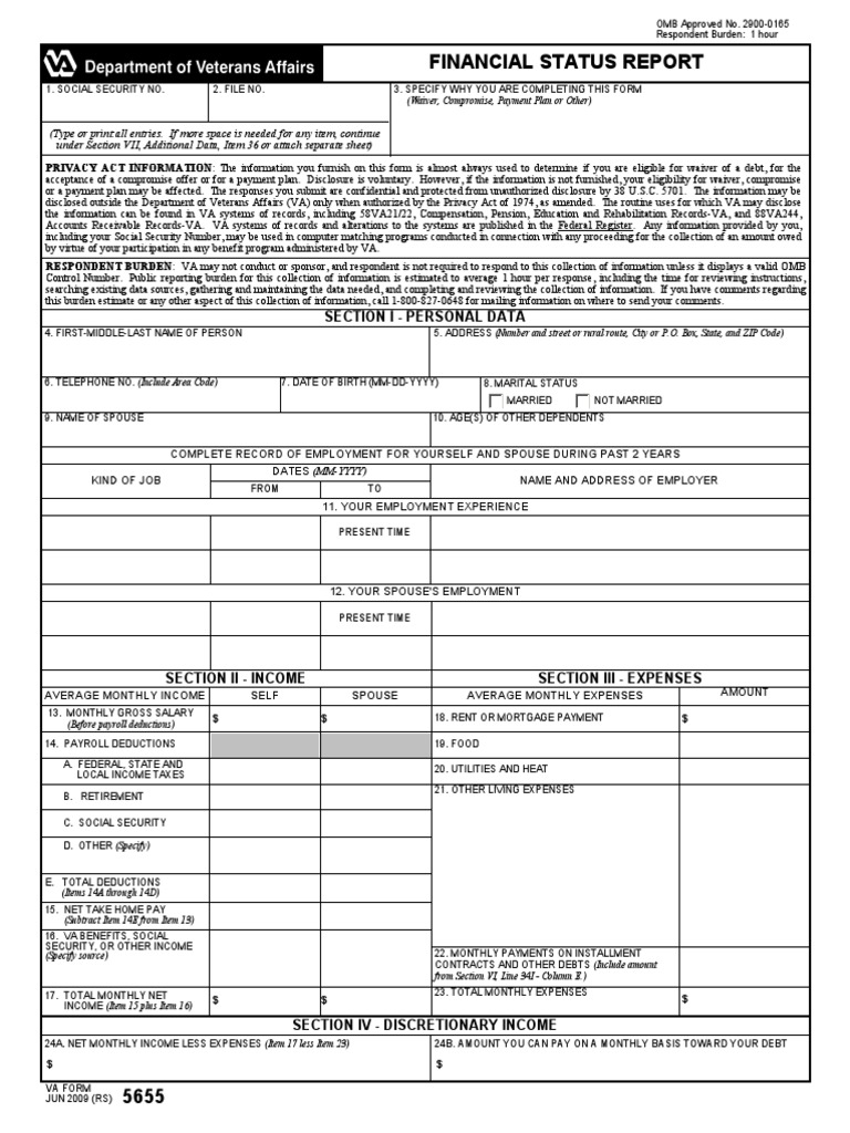 Financial Status Report Section I Personal Data Pdf Debt Payroll