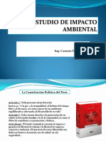 Diapositivas Sesión 1-Estudio de Impacto Ambiental