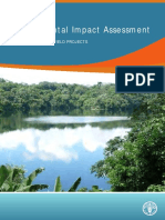Environmental Impact Assessment Guidelines