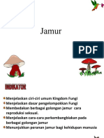 Jamur