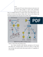 B. Sitokin pada-WPS Office