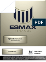 Esmax FX Nedir