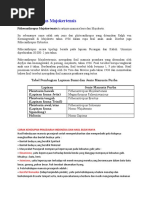 Download Pithecanthropus by Nurul Nizma SN52586956 doc pdf