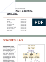 KLP 2 - Osmoregulasi Pada Mamalia