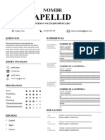 65 Curriculum Vitae Sin Foto