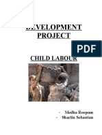 Development Project: Child Labour