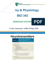 Chapter 2B - Nervous System