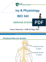 Chapter 2D - Nervous System