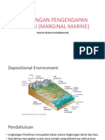 Lingkungan Pengendapan Transisi