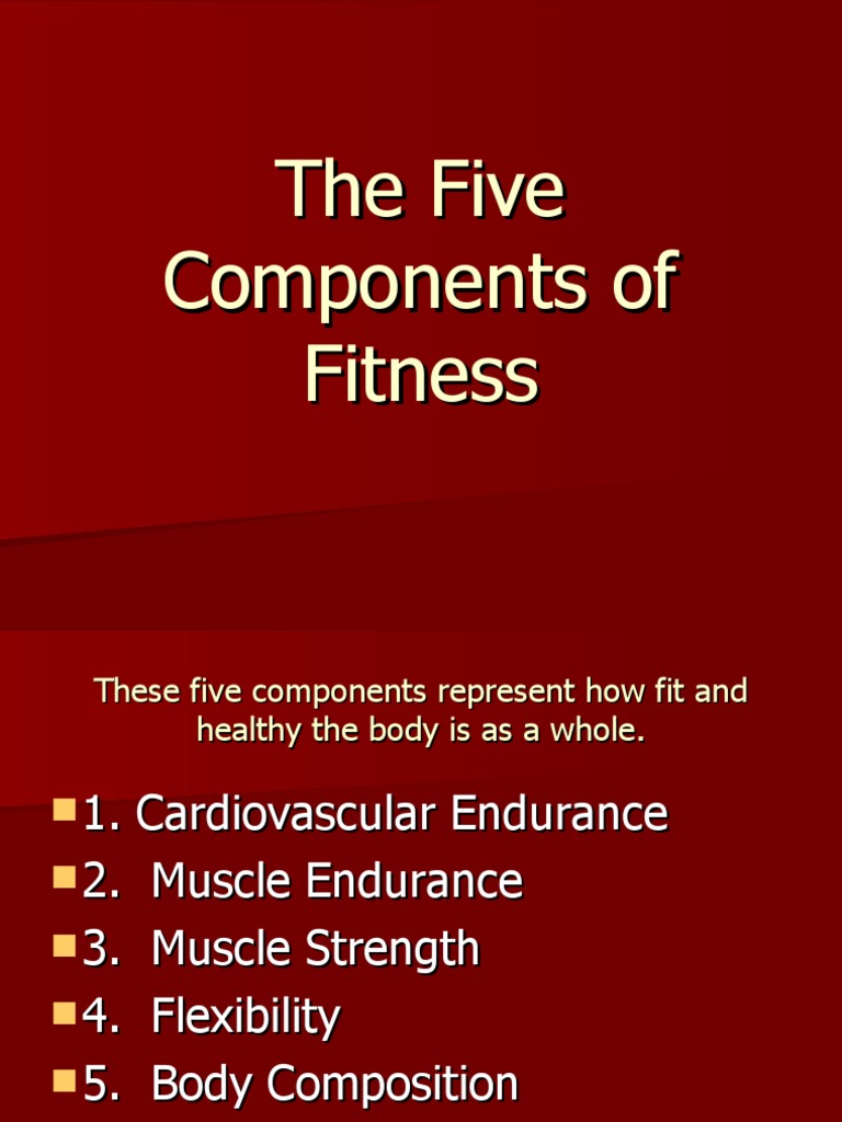 Components of Fitness PP PDF
