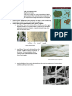 Fibers: Wood and Adds Compressive Strength and Stiffness To The Plant