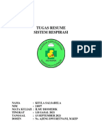 Contoh Tugas Resume Sistem Respirasi