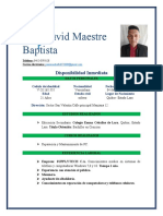 José David Maestre Baptista: Resumen Curricula R