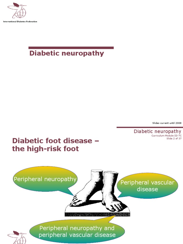 Diabetic Neuropathy | PDF | Peripheral Neuropathy | Epidemiology