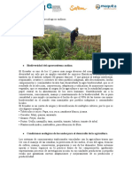 Sistemas Agroecologicos Andinos 1