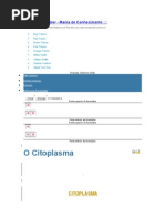 CITOPLASMA