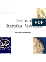 _Classe Cestoda - Taenia solium – Taenia saginata