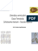 20170310 Enterobius e schistosoma