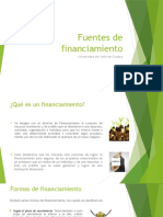 Fuentes de Financiamiento