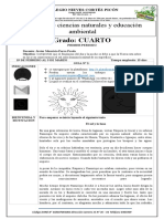 Guía N 2 Ciencias Naturales Grado Cuarto