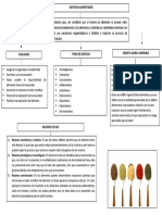 Toxicología de Alimentos (Mapa Conceptual VI)