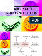 2020metabolismo ÁCIDOS NUCLEICOSnutri