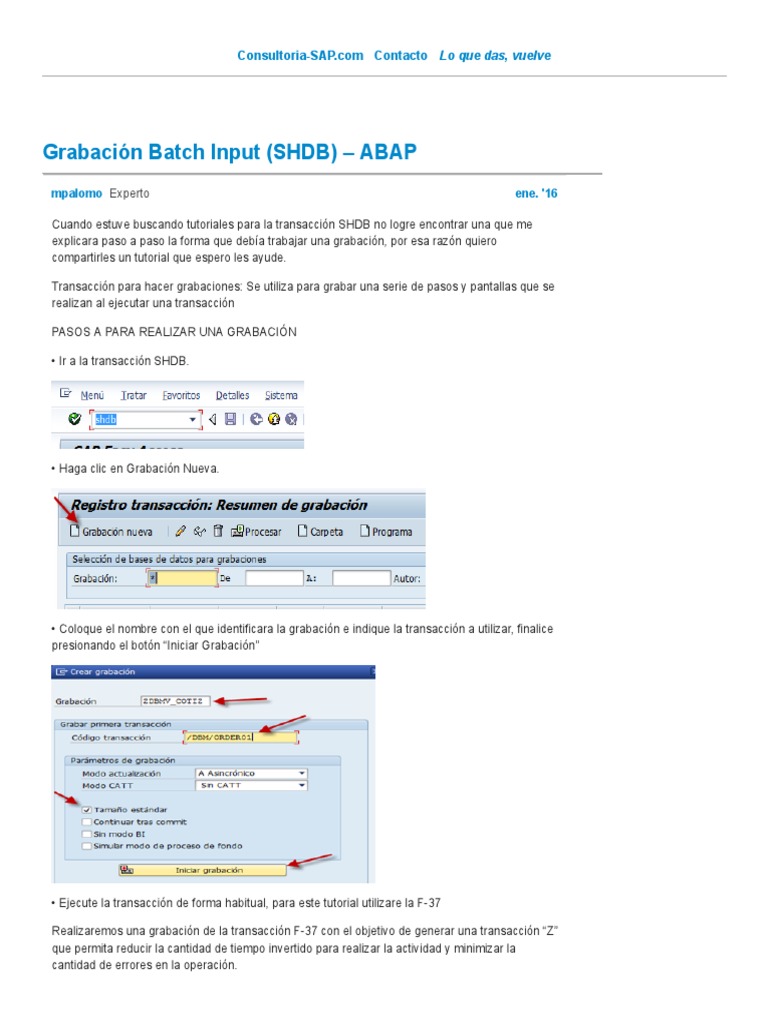 Grabación Batch Input en SHDB ABAP | PDF | Gestión de tecnología de la ...